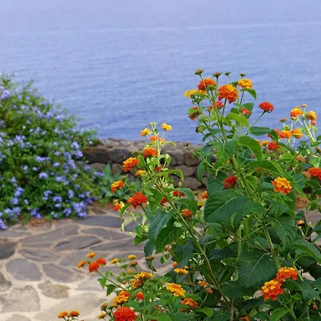 Vento Del Sud * Martingana